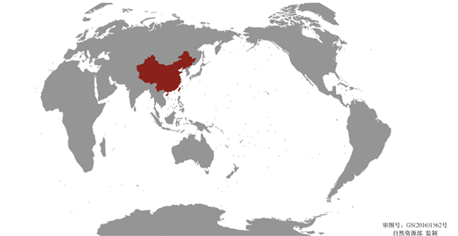 營(yíng)銷網(wǎng)絡(luò)